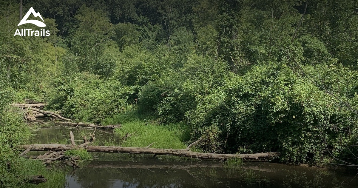 Rose Lake Trails List AllTrails