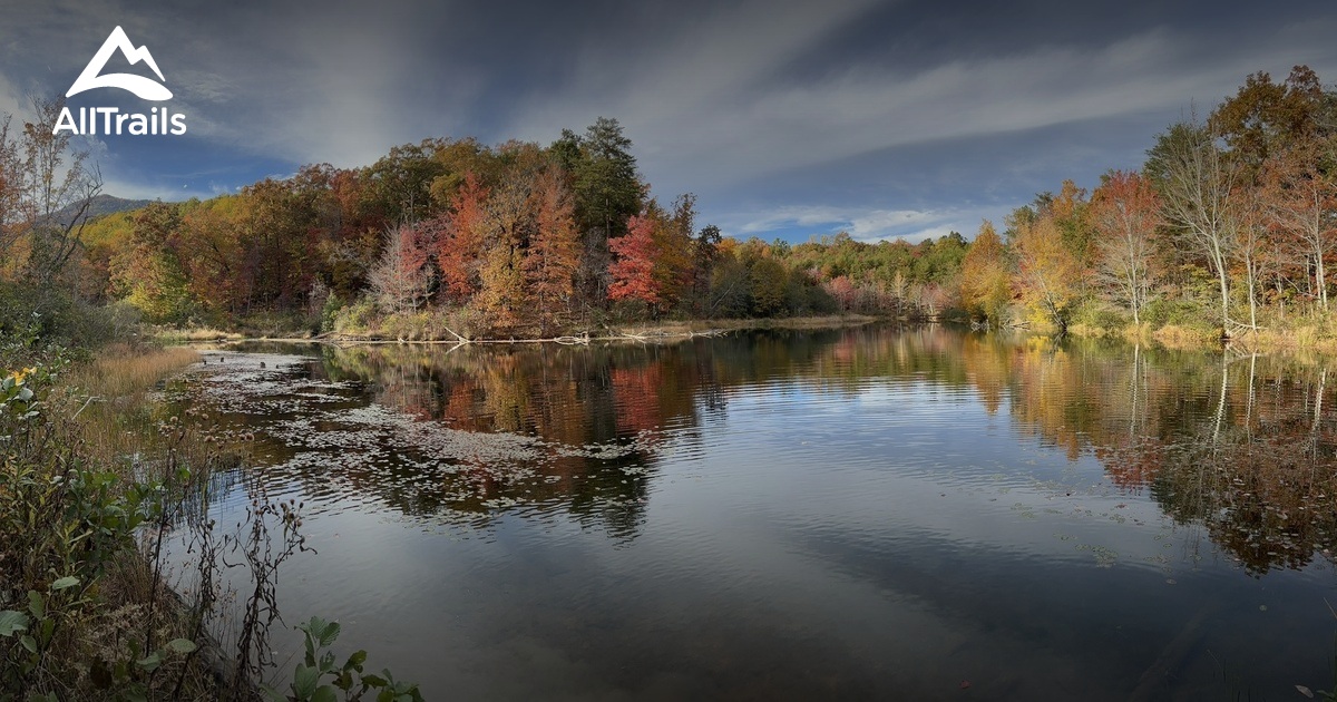 Twin Ponds Trail in Blue Wall Preserve Landrum, SC List AllTrails