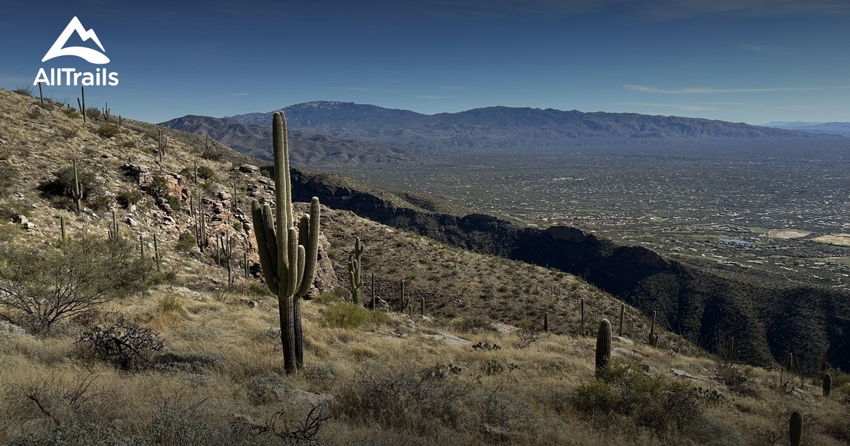 Phoenix and Tucson trip List AllTrails