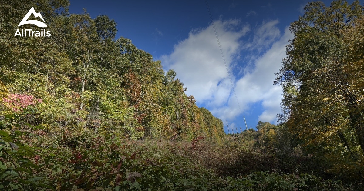 PA Neversink Mountain List AllTrails