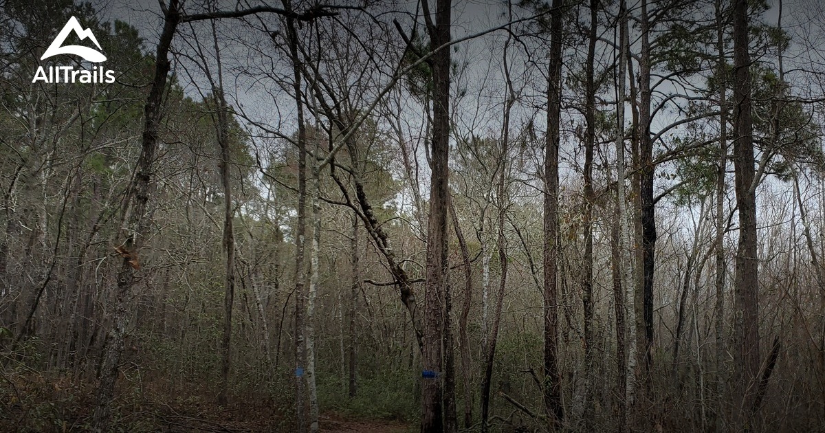 16) L. Smith State Park List AllTrails