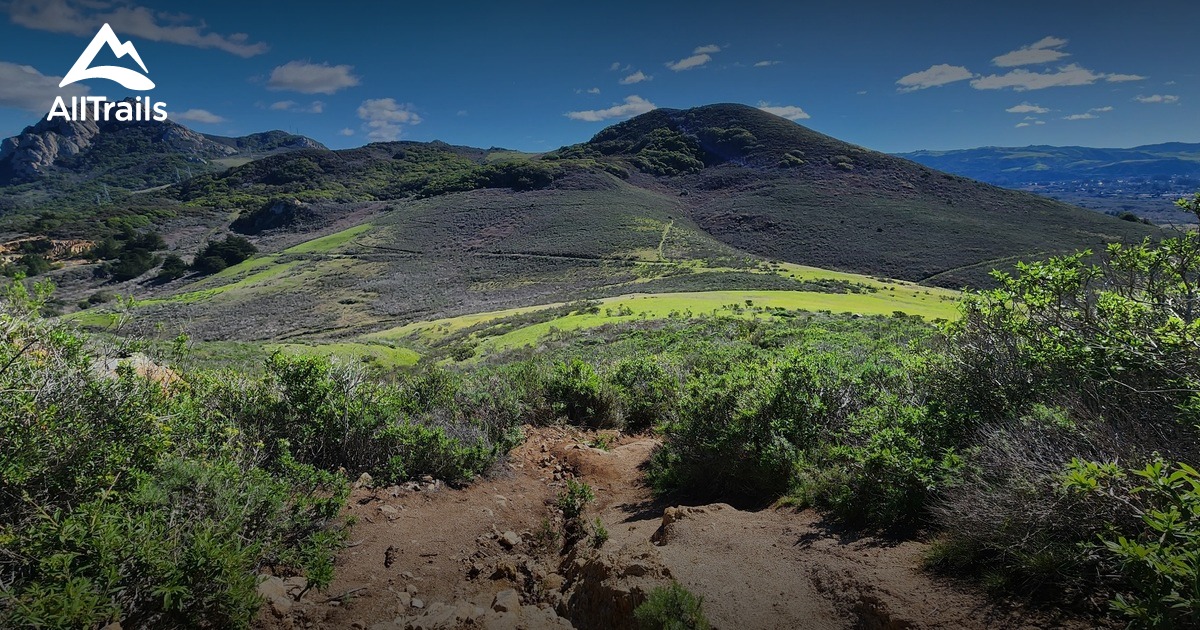 Morro Bay dog friendly trails List AllTrails