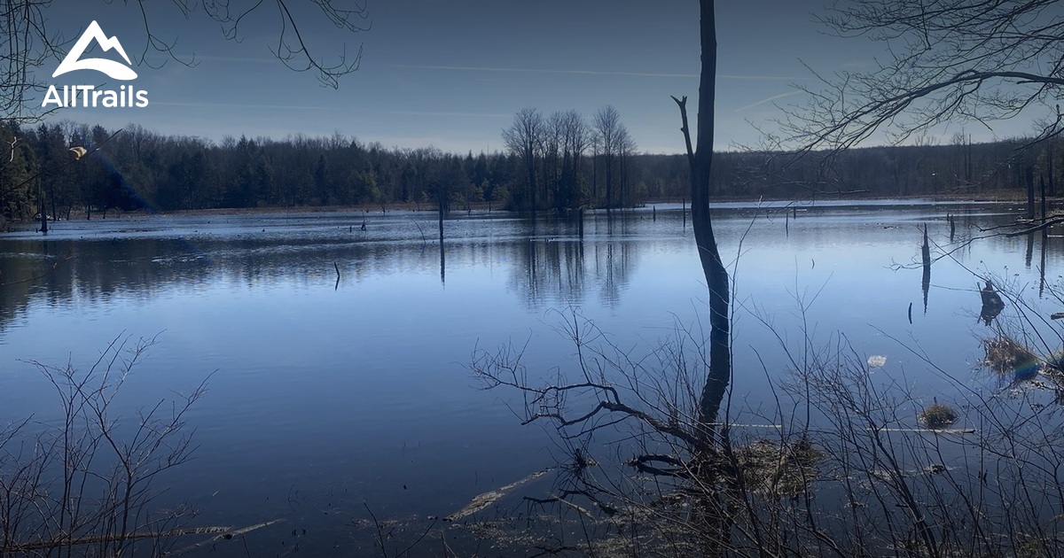 WNY Winter Hike Challenge List AllTrails