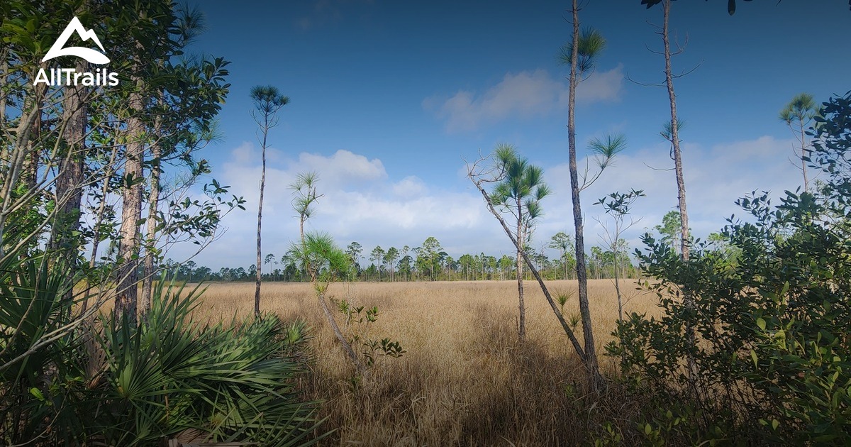 Titusville Florida | List | AllTrails