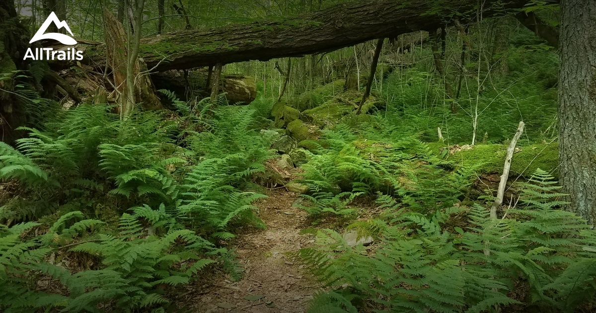 Penns Creek Hikes List AllTrails