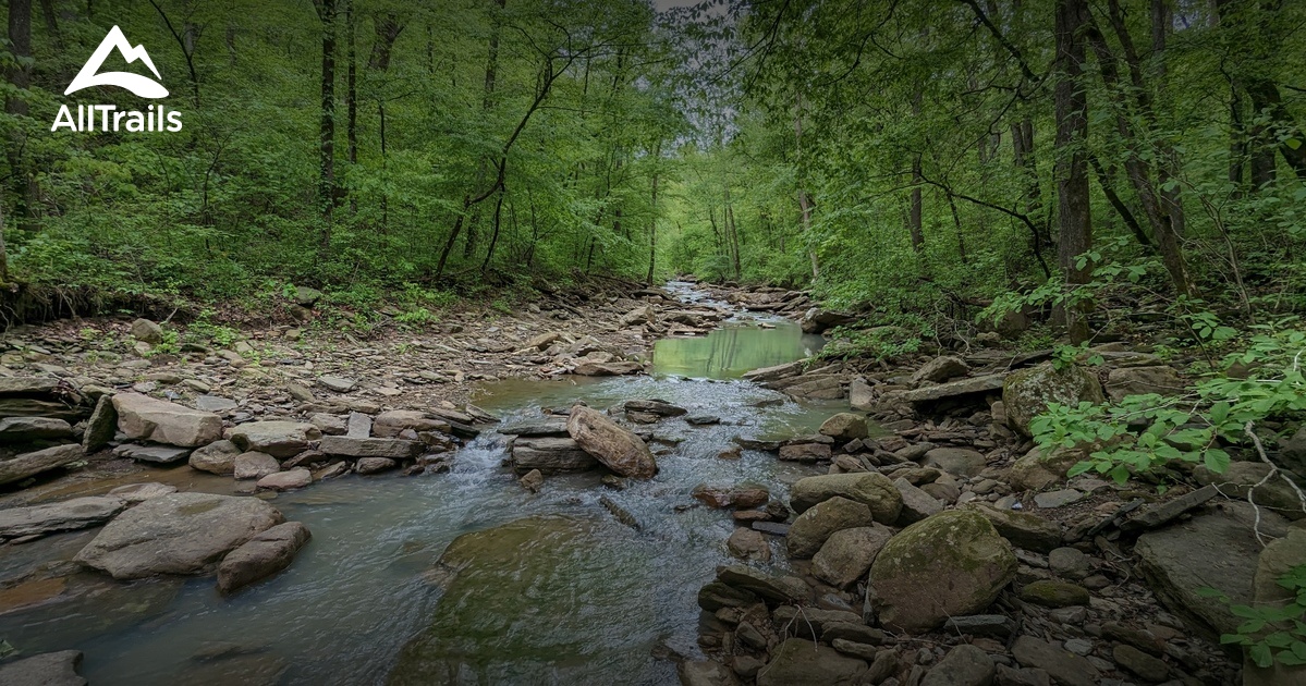 Mulberry Mountain: Arkansas's Hidden Gem for Adventure and Relaxation