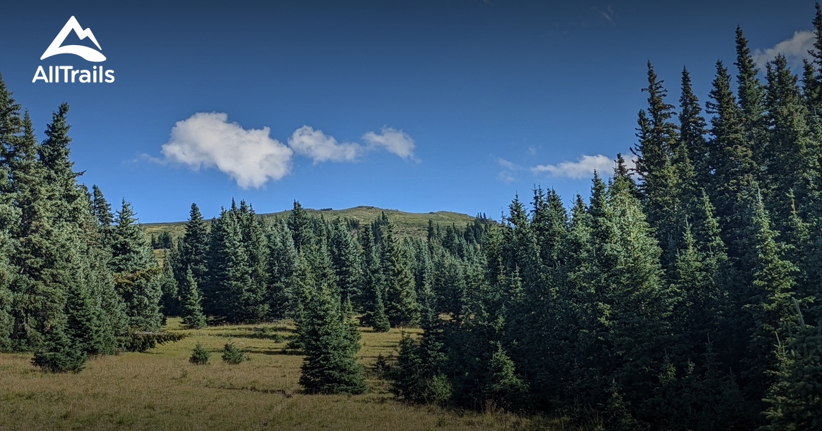 Taos Snowshoeing List AllTrails