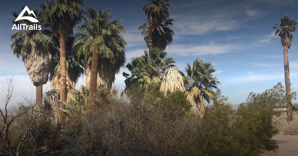 Dog Friendly Joshua Tree List AllTrails