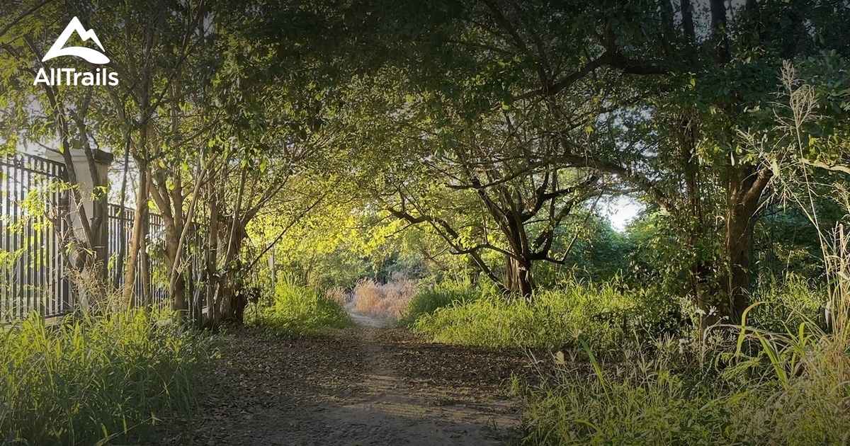 Puerto Rico MTB Trails List AllTrails