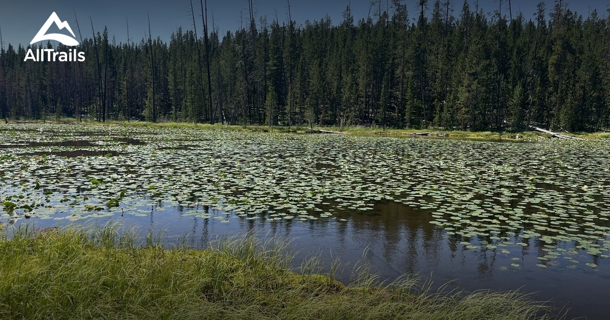 Top 10 Yellowstone Hikes List AllTrails