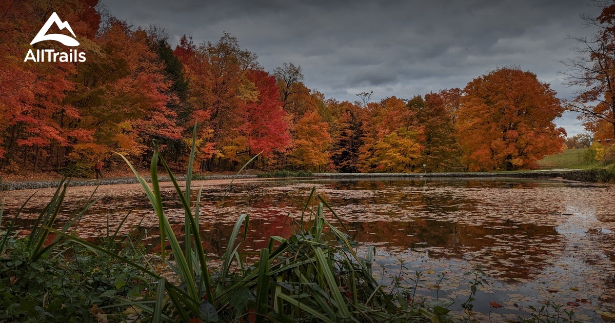 glen haffy conservation area | List | AllTrails