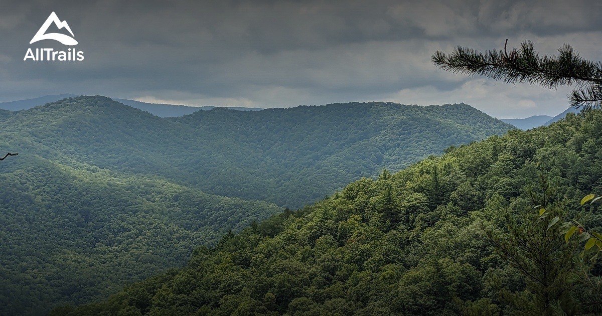 Escape to Paugnut State Forest: Your Gateway to Appalachian Adventure