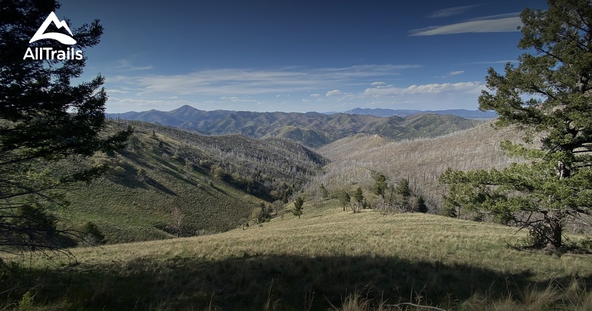 Lincoln Forest area List AllTrails