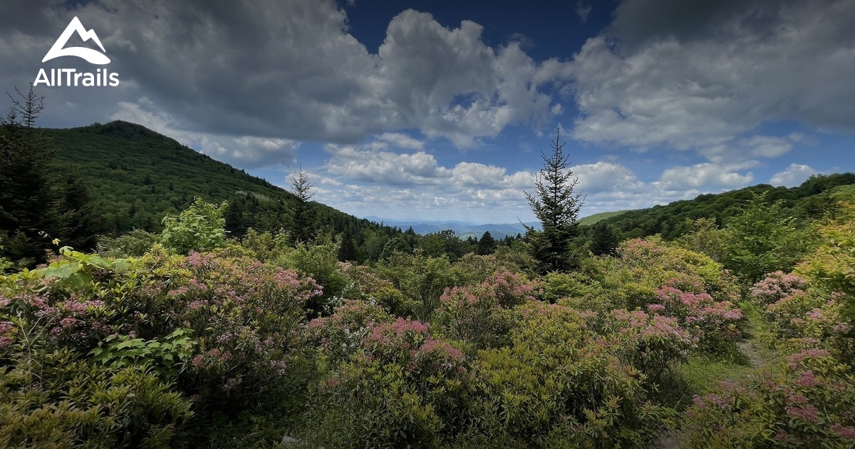 Top Backpacking Locations List AllTrails