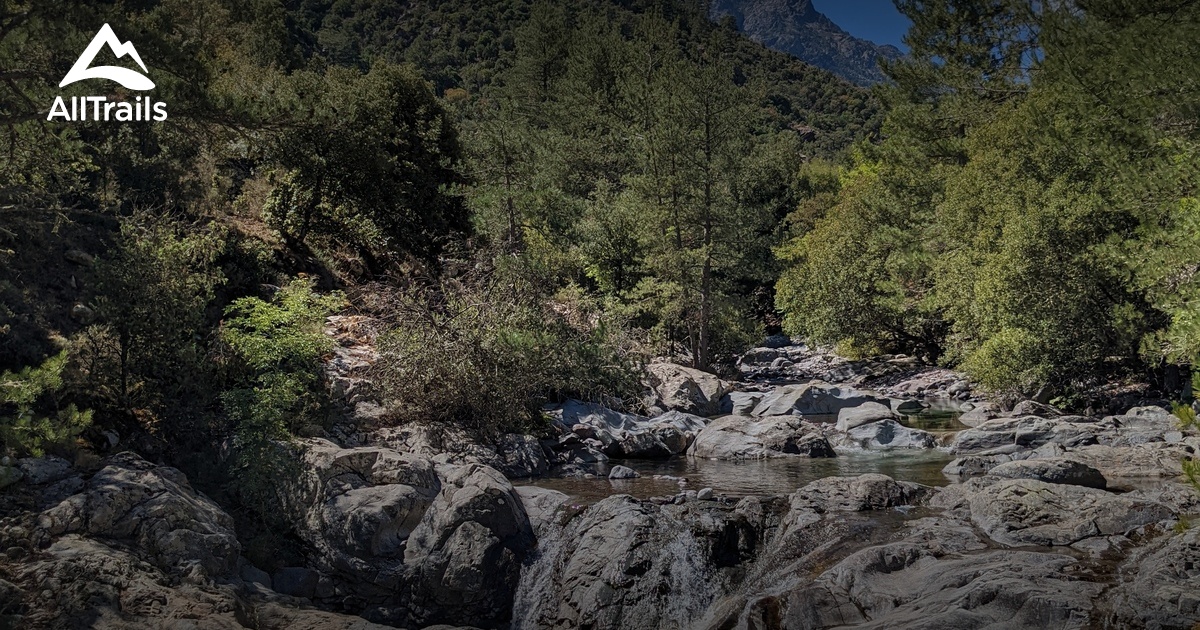 Foret de Tartagine List AllTrails