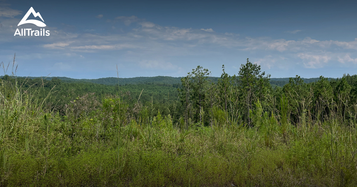 Off Road Trails Alabama List AllTrails