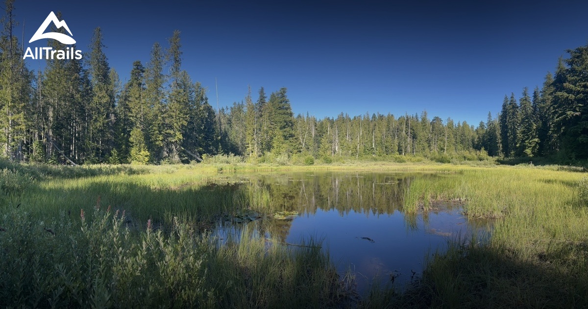 Government Camp Hikes List AllTrails