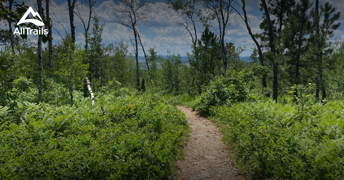 SD Running Trails List AllTrails