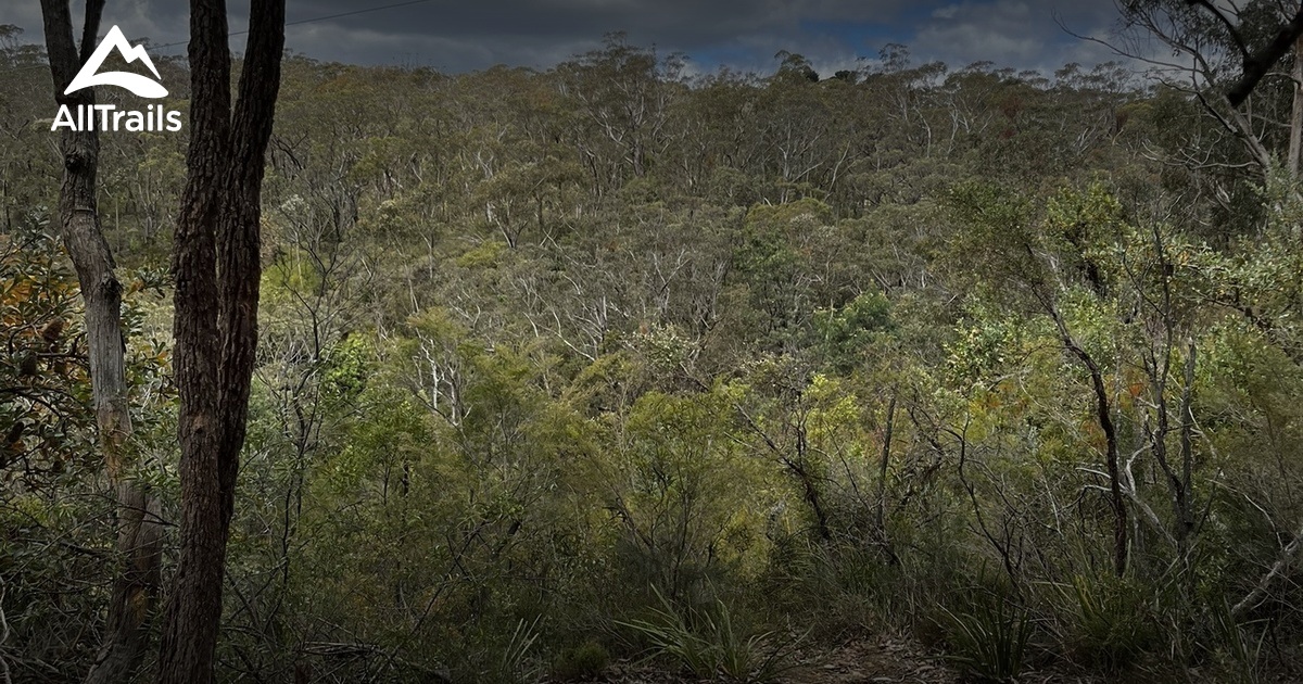 Dog walks blue mountains List AllTrails