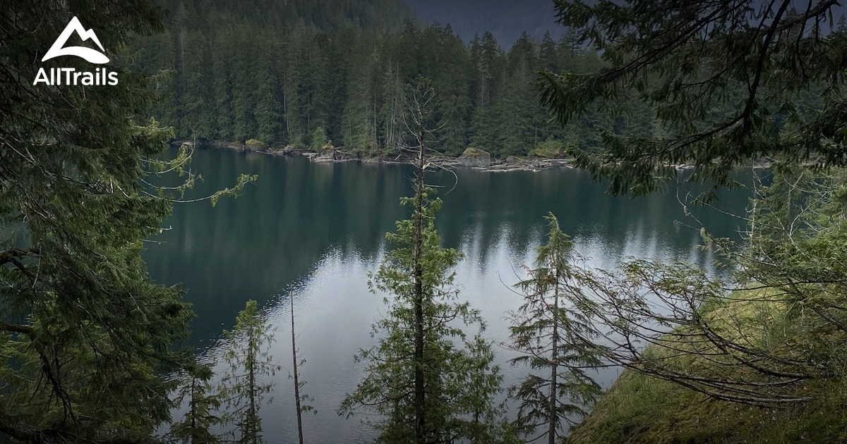 Hikes Near Me Dog Friendly Trails in the City