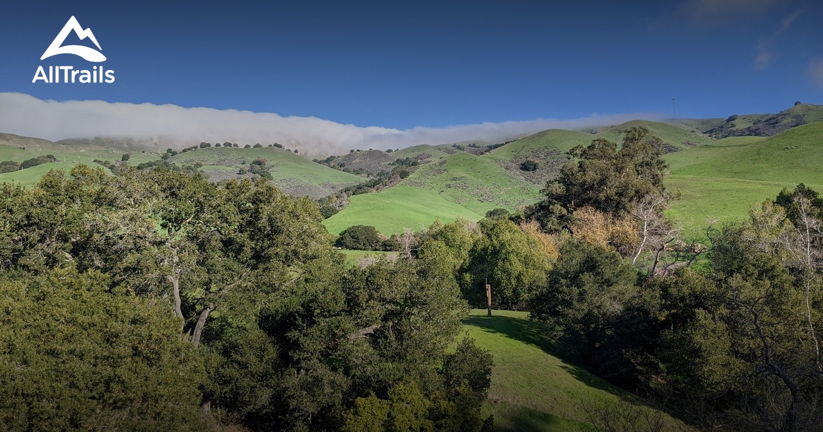 Best Dog Hikes Northern California List AllTrails