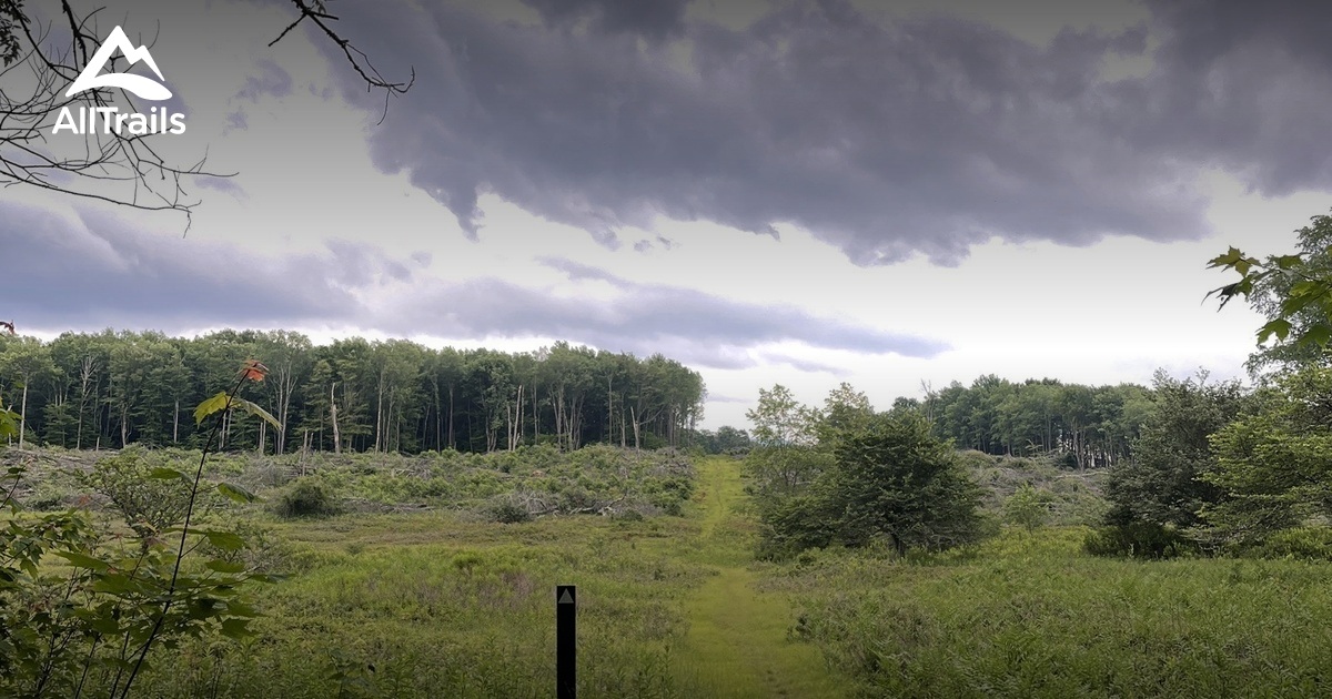 canaan-valley-national-wildlife-refuge-list-alltrails