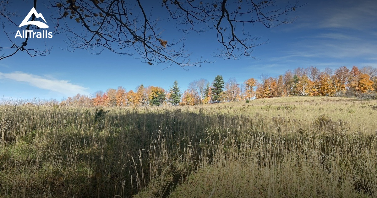 running-routes-near-me-list-alltrails