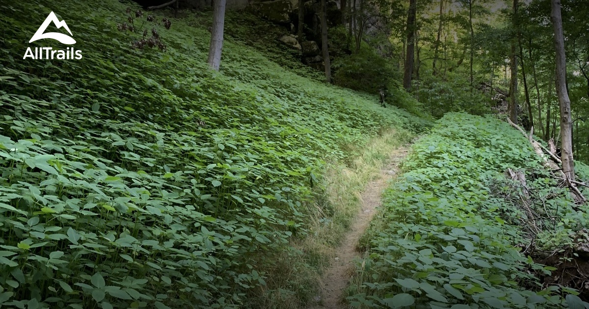 skylight cave List AllTrails