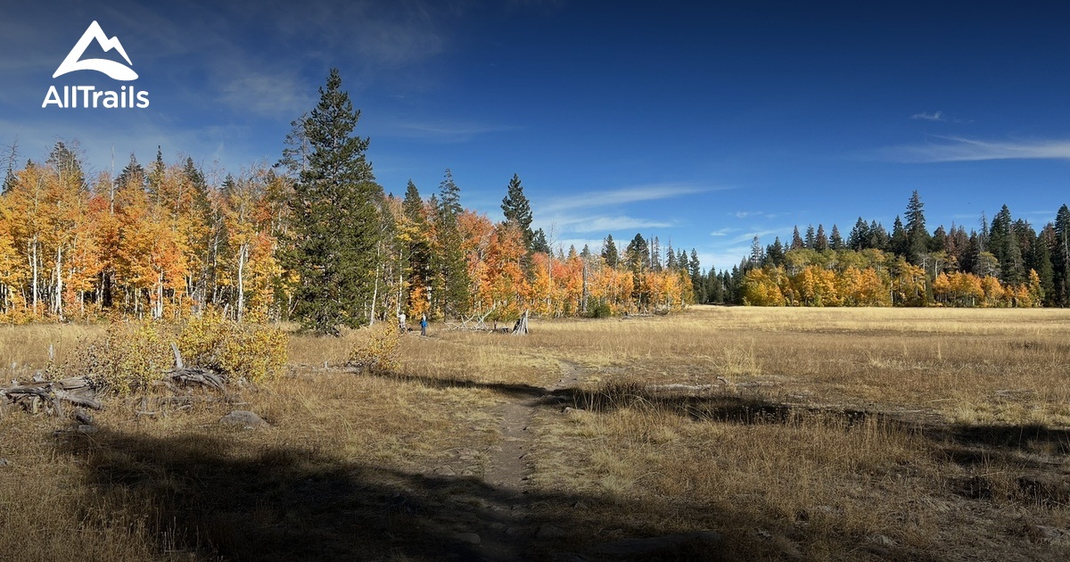 Tahoe Off Leash Dog Trails List AllTrails
