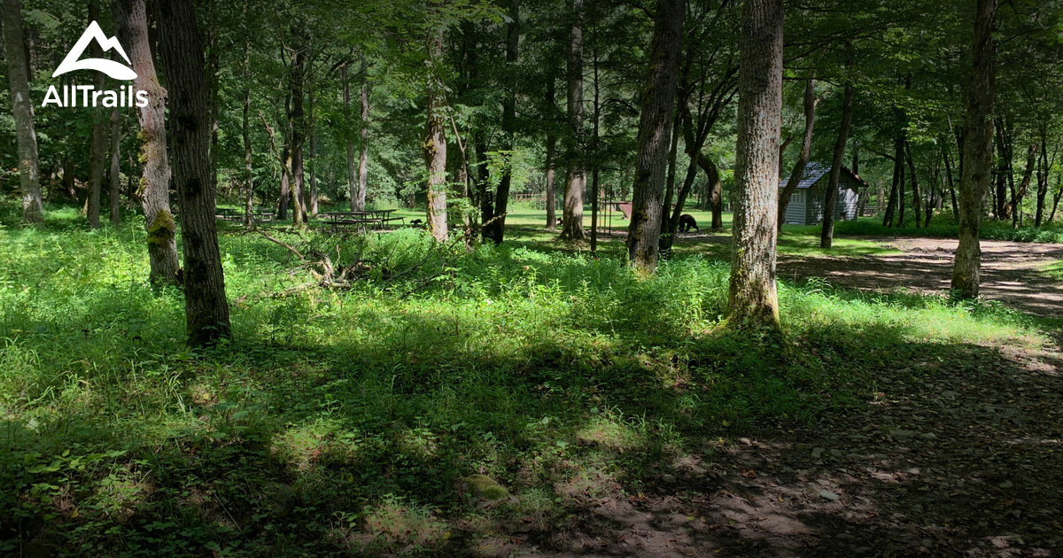 Cataloochee Loop 