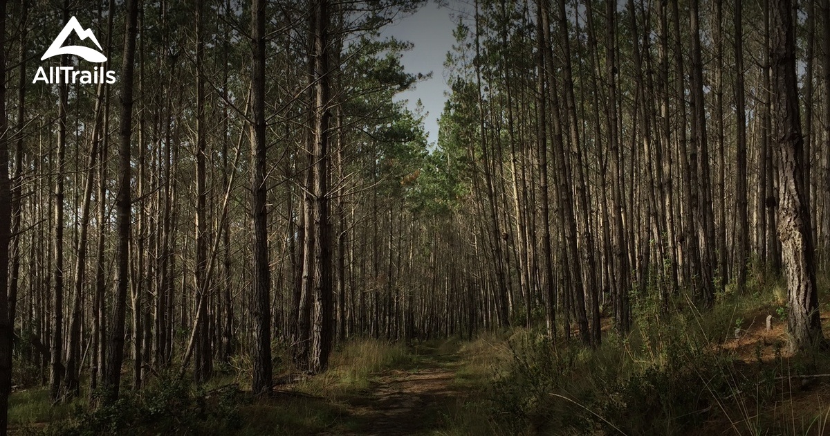 Dog friendly Carmel List AllTrails