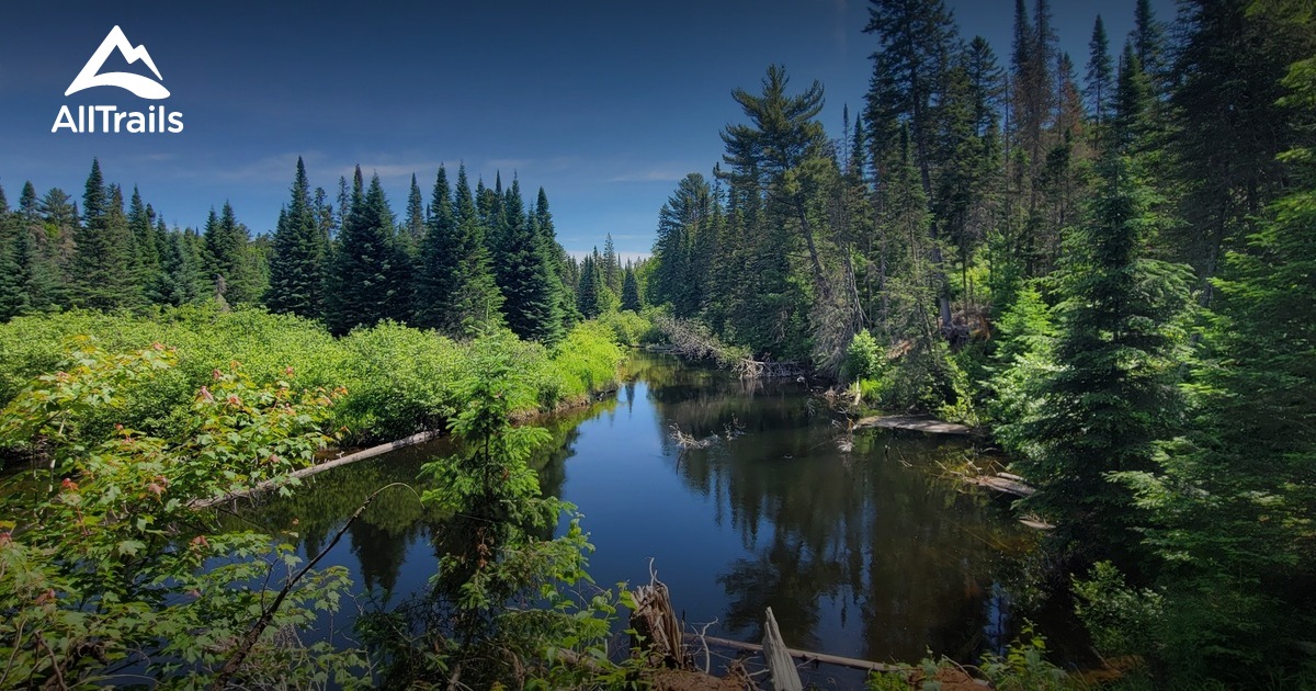 Algonquin Provincial Park Dog Friendly List AllTrails