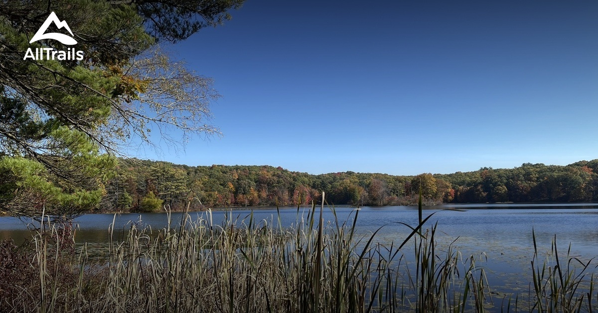 Yankee Springs RA: Hall Lake Trail