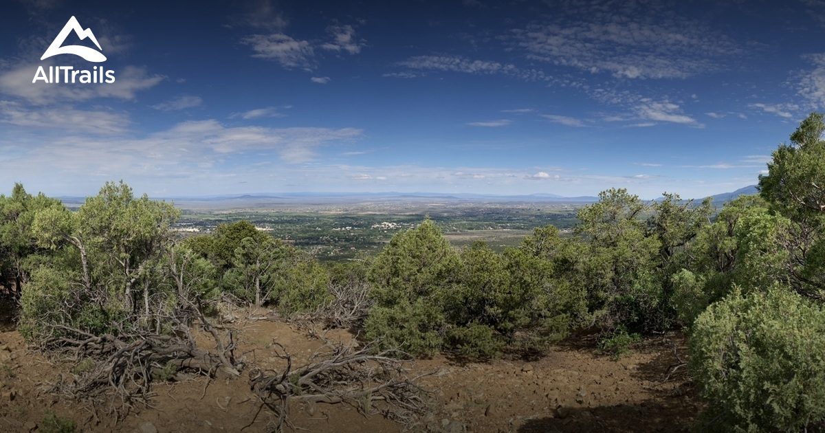 taos-dog-list-alltrails