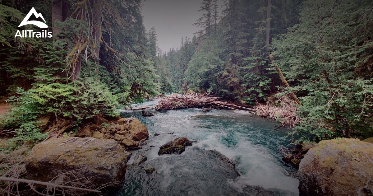 North Skokomish River List AllTrails