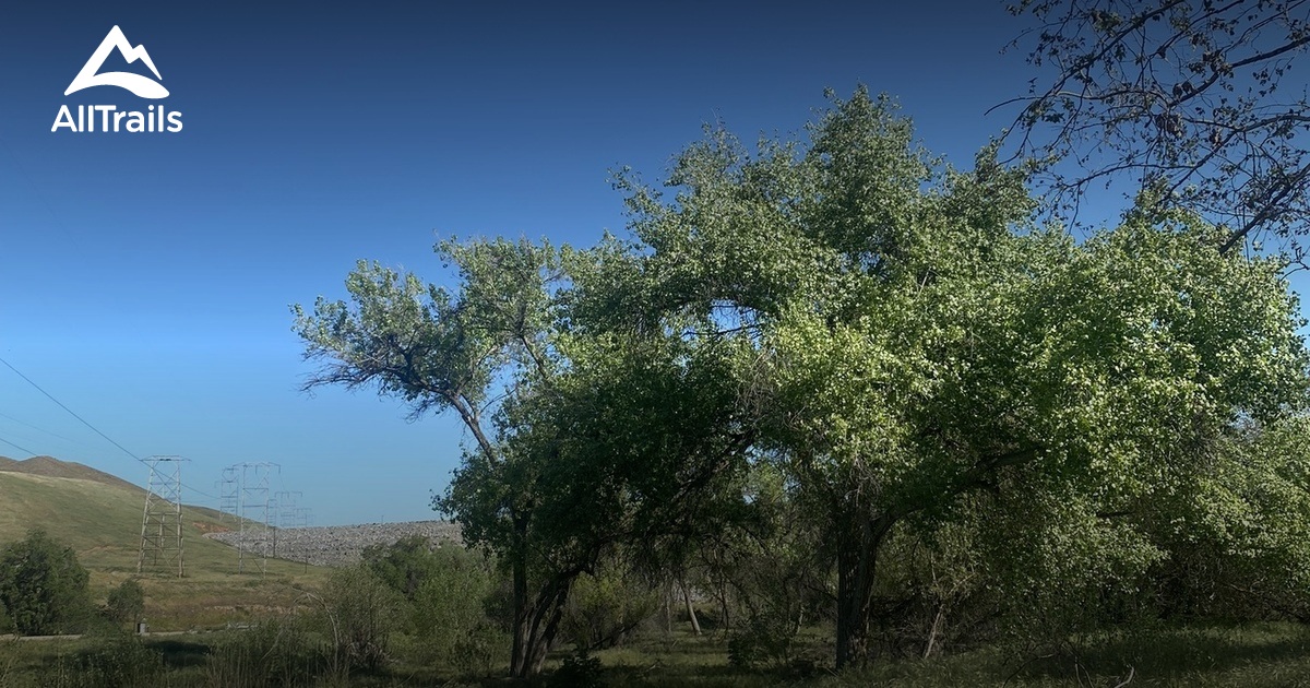 Camping at lake success List AllTrails