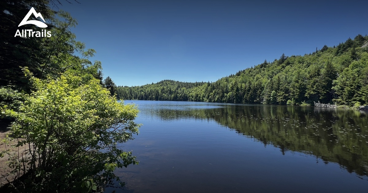 “Best Hikes with Dogs” Book List List AllTrails