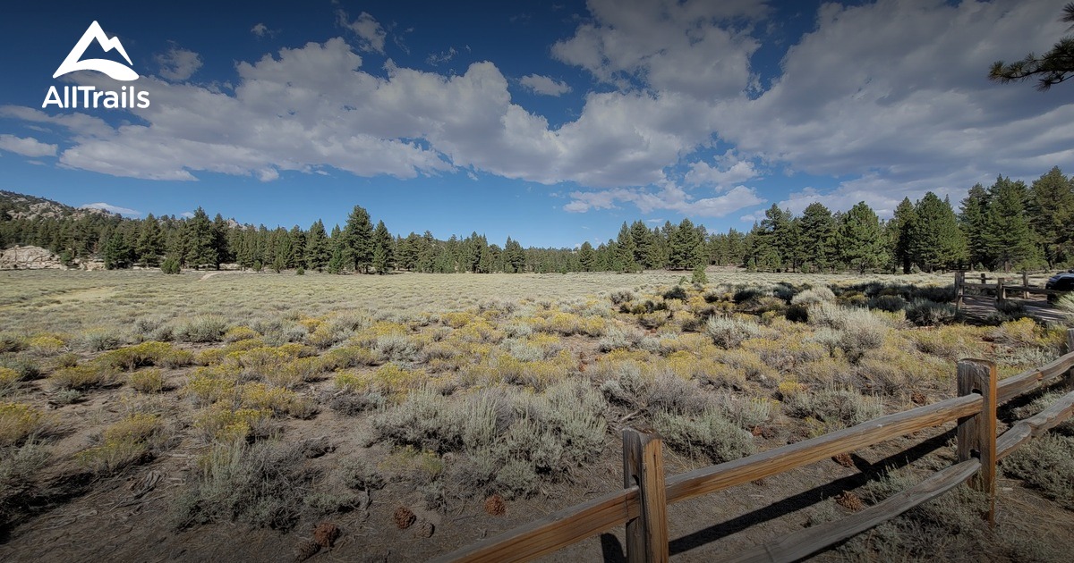 Off road trails in big bear  List  AllTrails