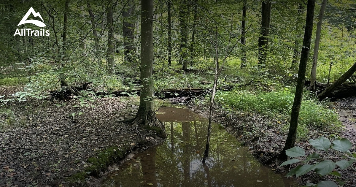 Family Friendly Hikes Near Me