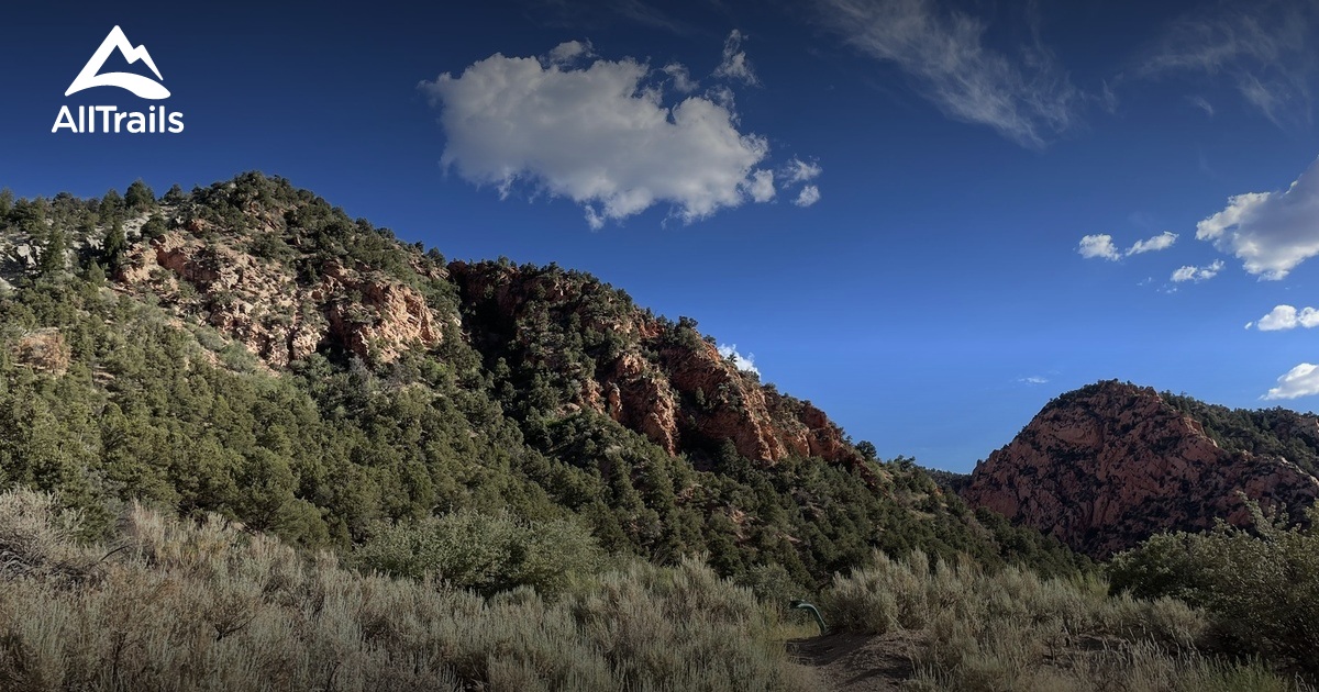 Cedar | List | AllTrails