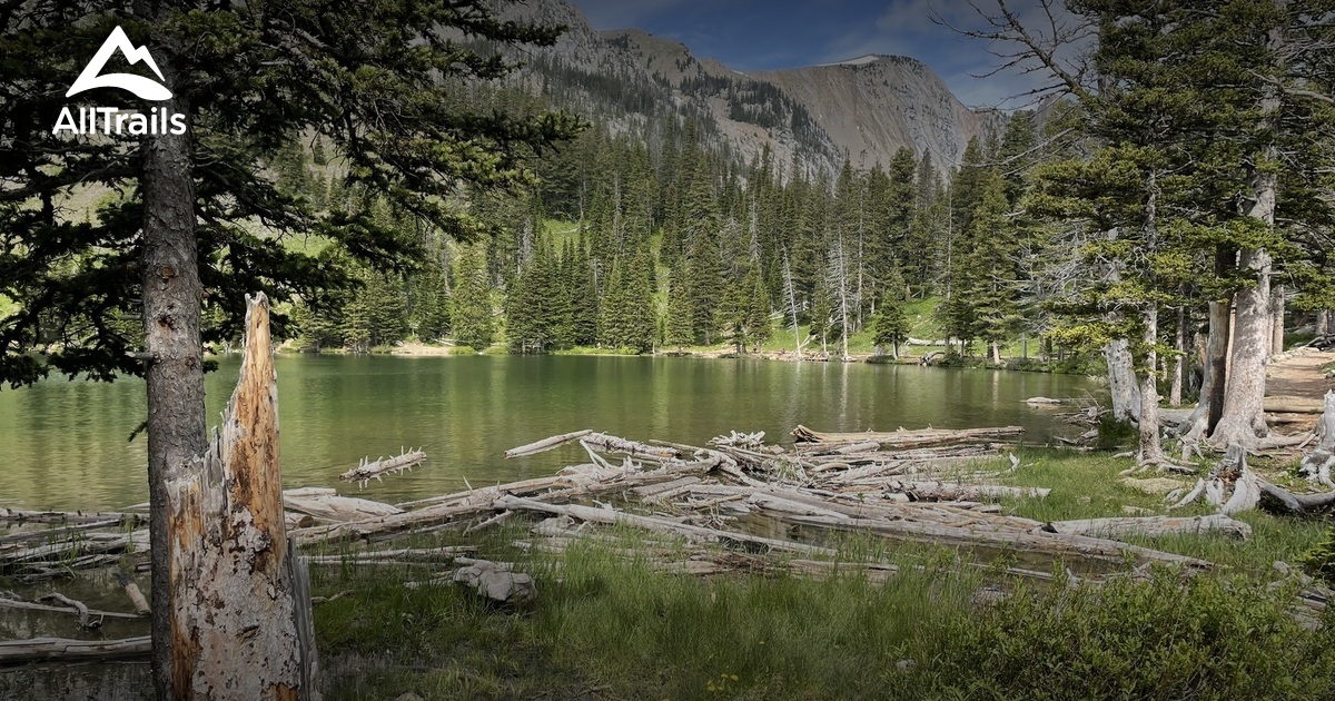 Montana Off Road trails List AllTrails