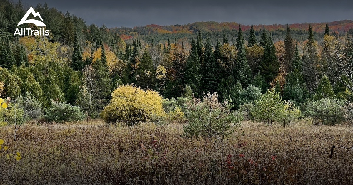 Bruce trail mono | List | AllTrails