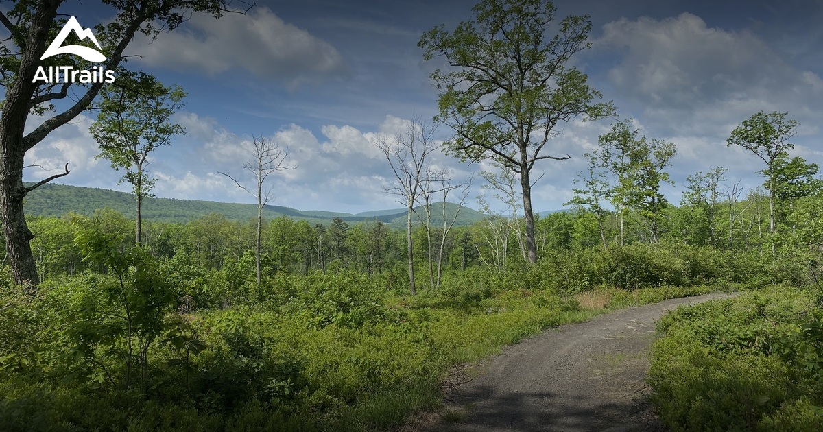 Bald Eagle Dual Sport Area | List | AllTrails