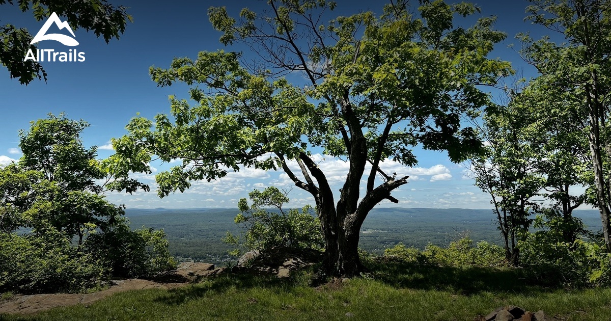 test ridge Mt Tom List AllTrails