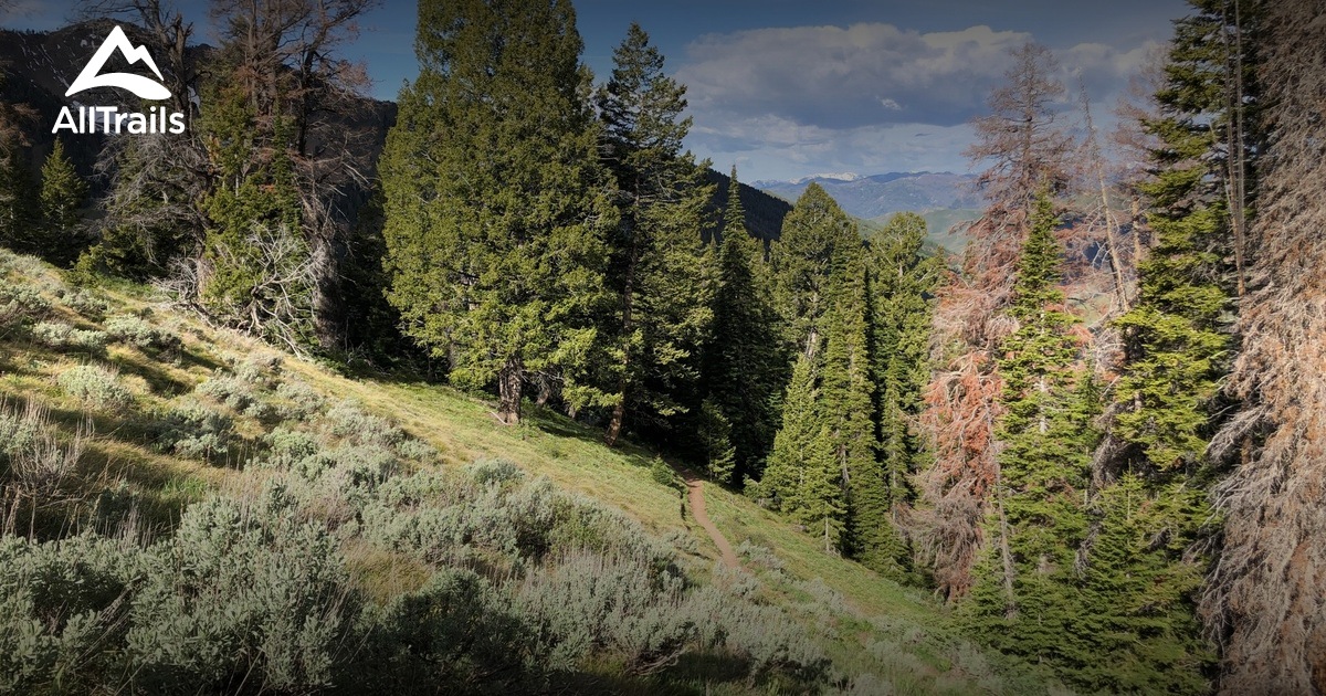 Ketchum/Sawtooth List AllTrails