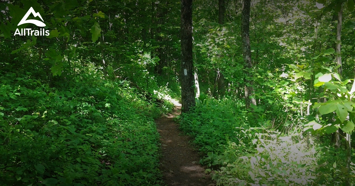 Brasstown Bald List AllTrails