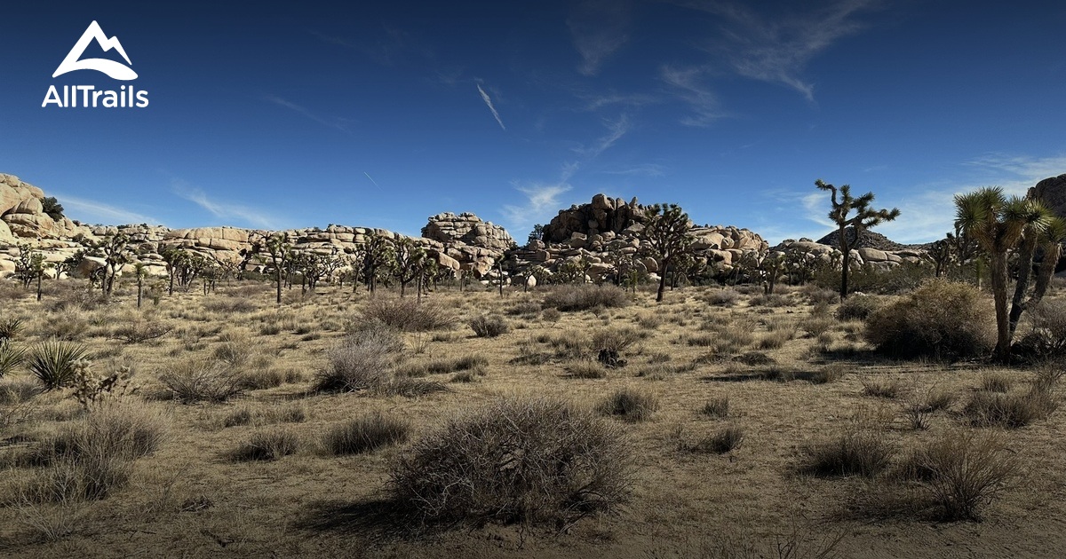 Joshua Tree List AllTrails