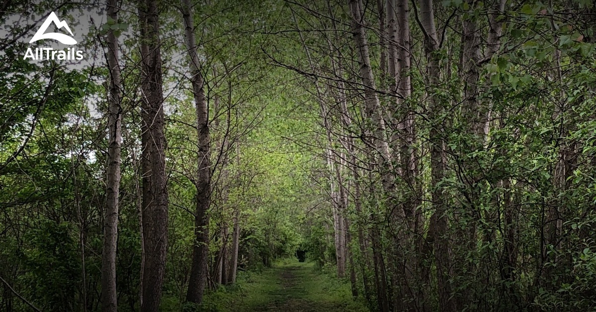 Castalia Quarry Metropark Trail List AllTrails