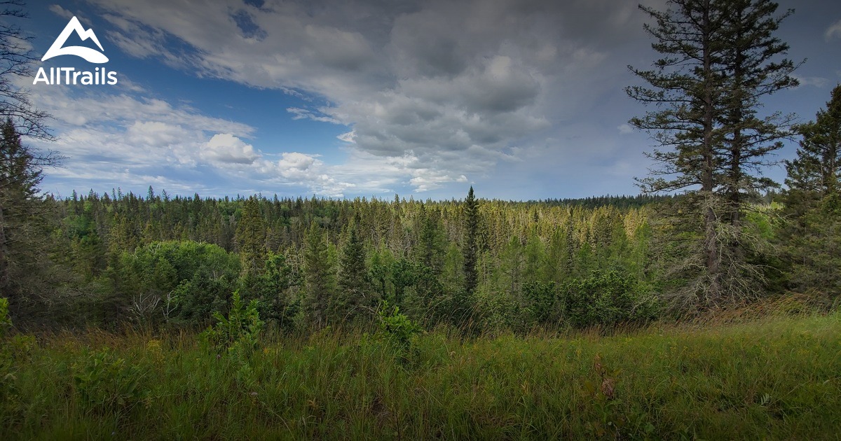 Spruce Woods Provincial Park Trails List AllTrails