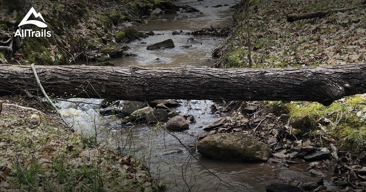 Mayo & Haw River State Park List AllTrails